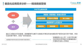 中國數據即服務（DaaS）市場專題分析 數據處理服務的現狀與未來